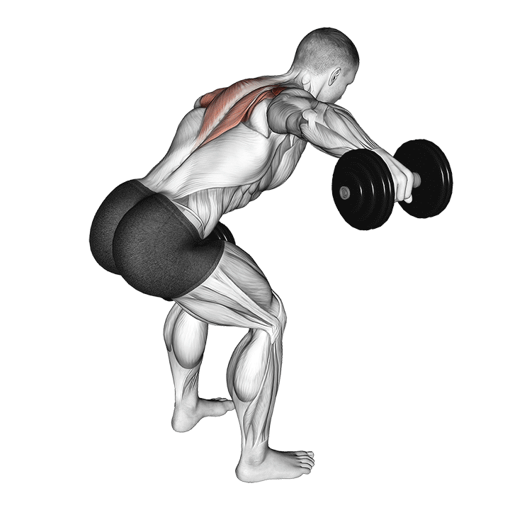 Alternate Bent Over Dumbbell Reverse Fly exercise animation