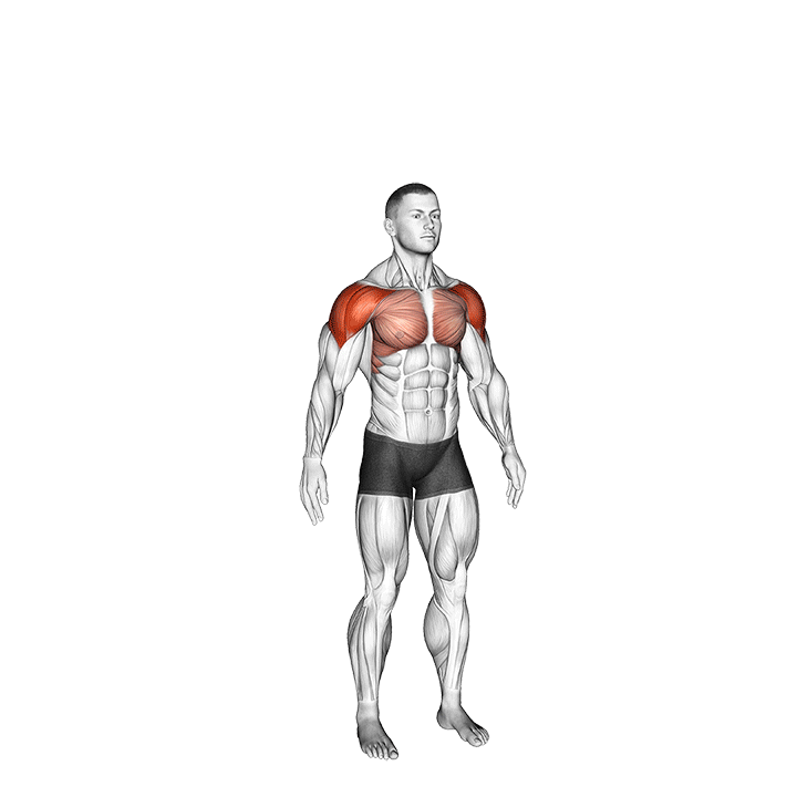 Arm Circle exercise animation
