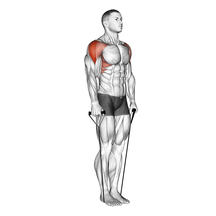 Band Lateral Raise exercise animation
