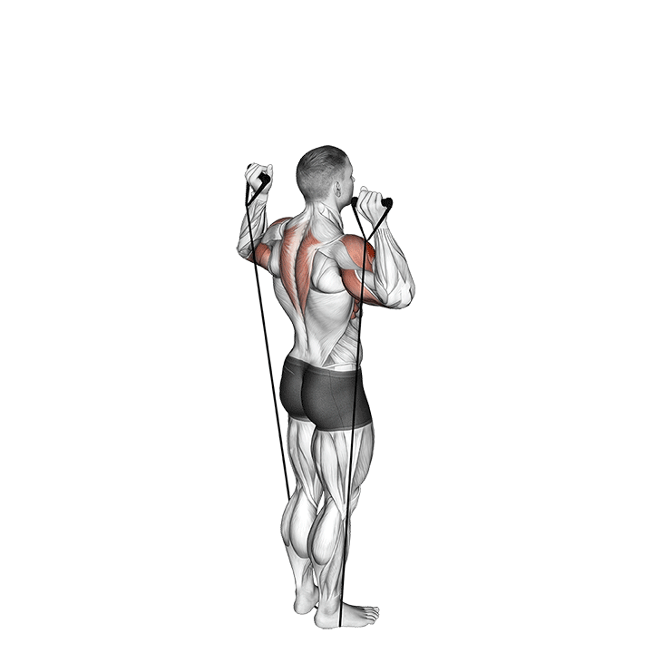 Band Shoulder Press exercise animation