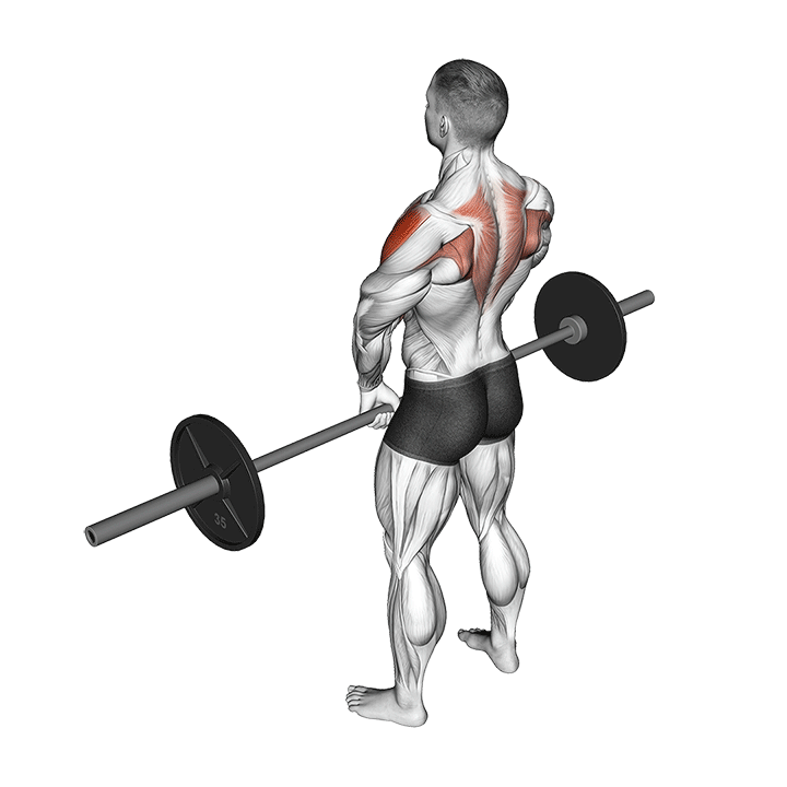 Barbell Narrow Grip Upright Row exercise animation