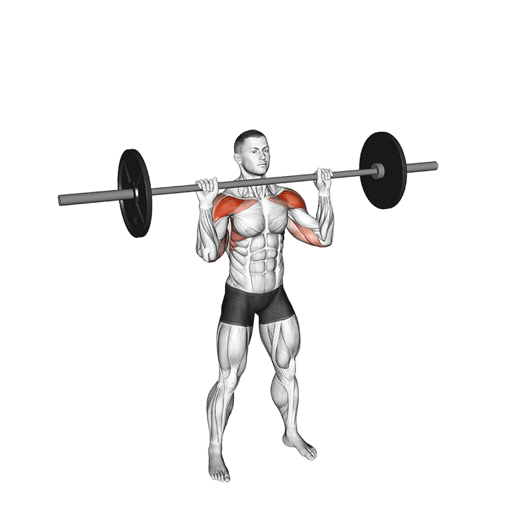 Barbell Overhead Press exercise animation