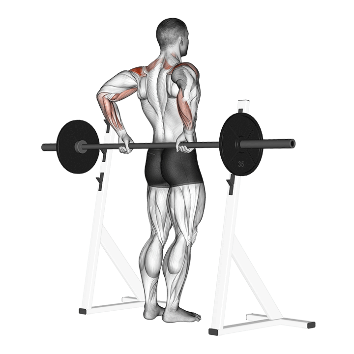 Barbell Rear Delt Raise exercise animation