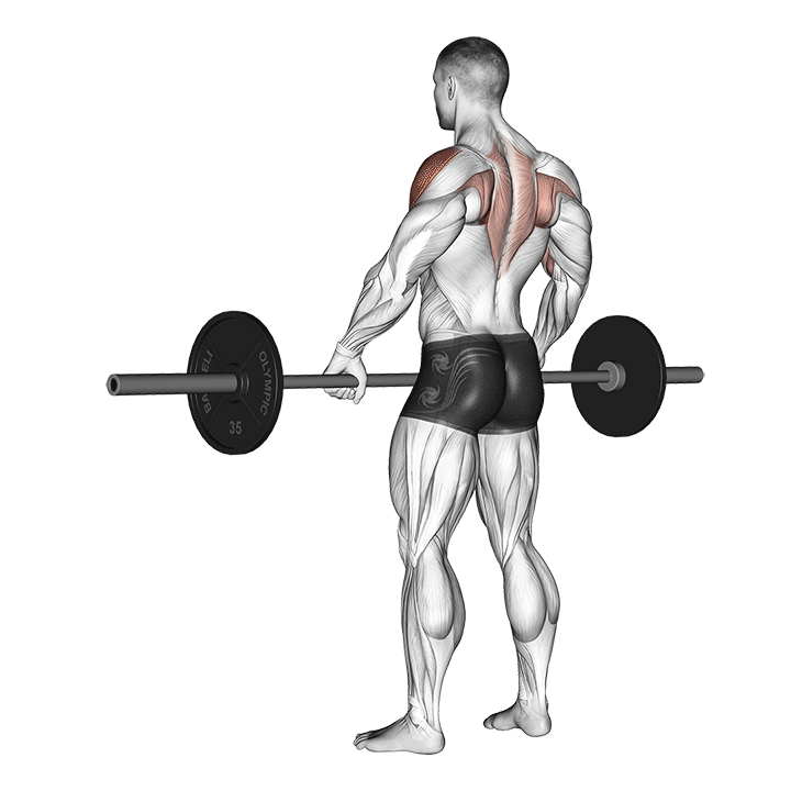 Barbell Wide Grip Upright Row exercise animation