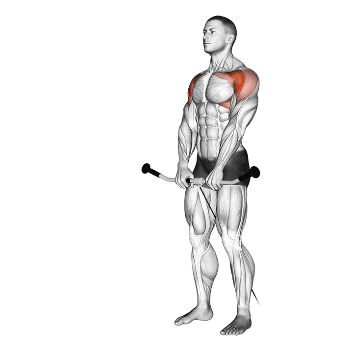 Cable Front Raise exercise animation
