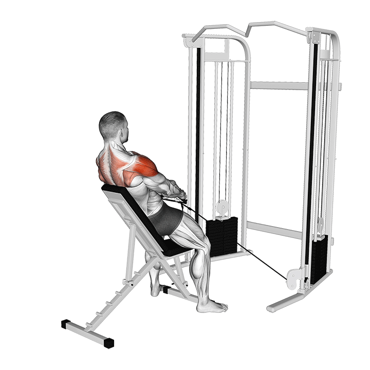 Cable Incline Y Raise Back Supported exercise animation