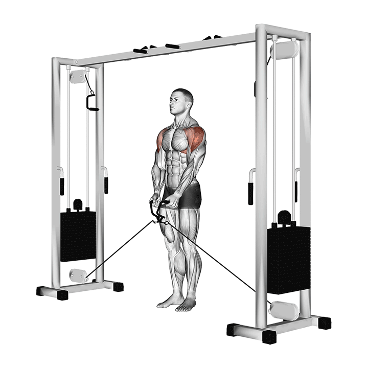 Cable Lateral Raise exercise animation