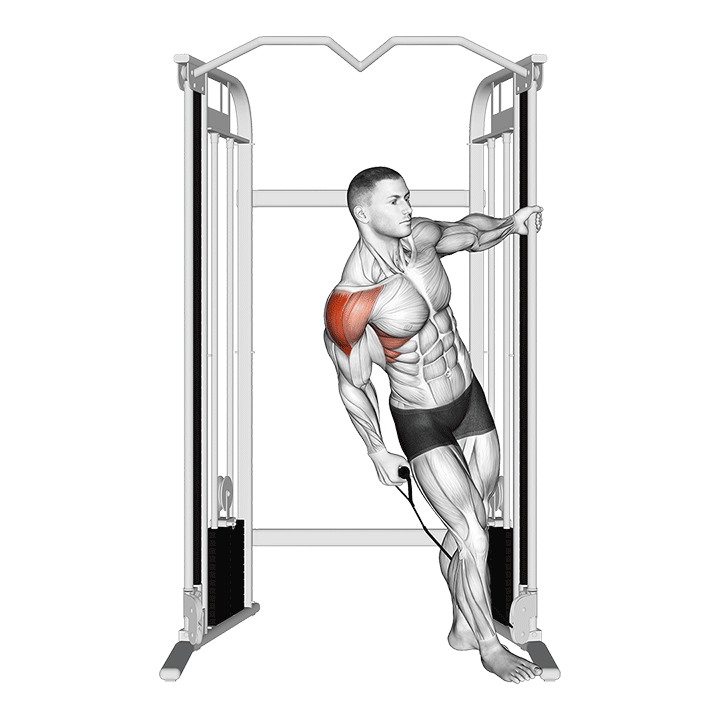 Cable Leaning Lateral Raise exercise animation
