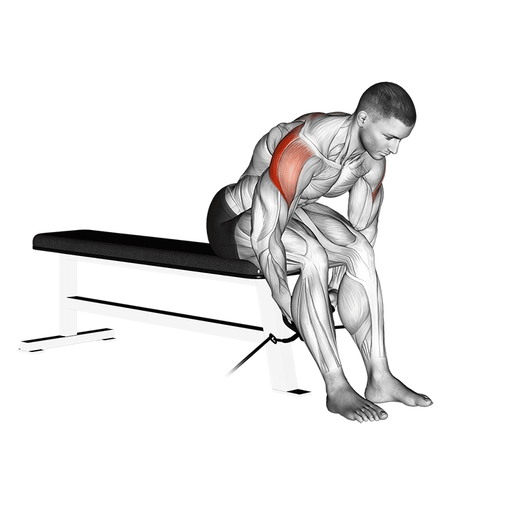 Cable Seated Rear Lateral Raise exercise animation