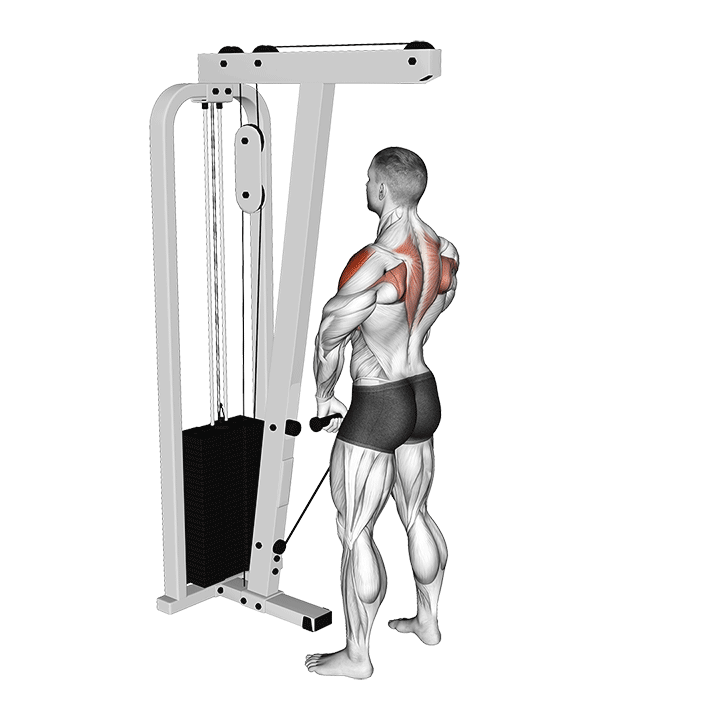 Cable Upright Row exercise animation