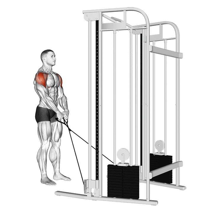 Cable Y Raise exercise animation