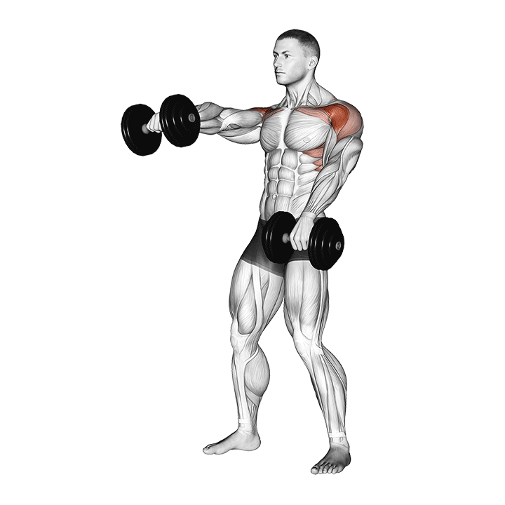 Dumbbell Alternate Front Raise exercise animation