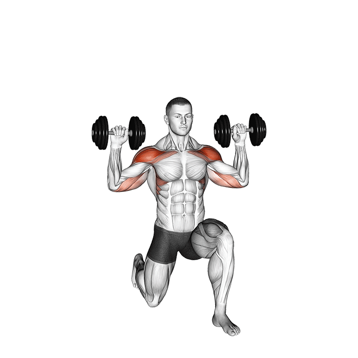Dumbbell Half Kneeling Shoulder Press exercise animation