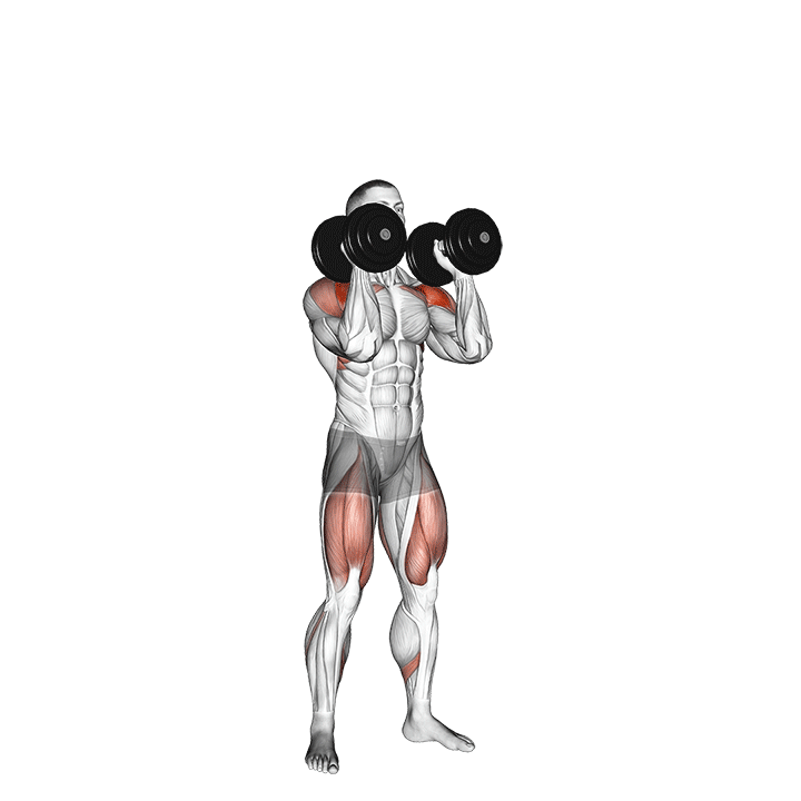 Dumbbell Push Press exercise animation