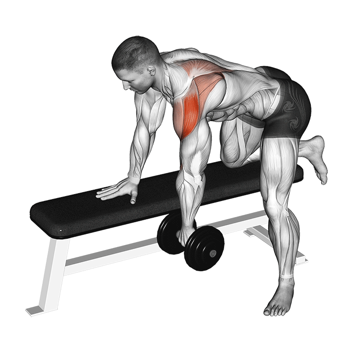 Dumbbell Rear Delt Row exercise animation