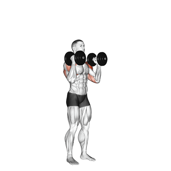 Dumbbell Standing Alternate Press exercise animation