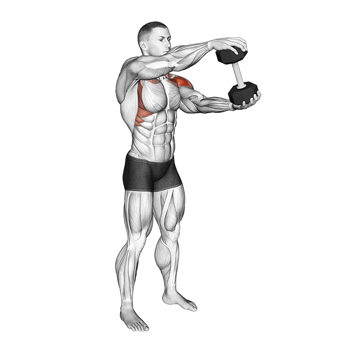 Dumbbell Standing Driver exercise animation