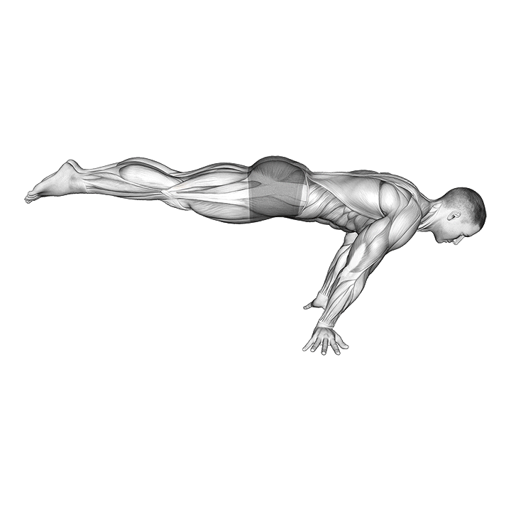 Full Planche exercise animation