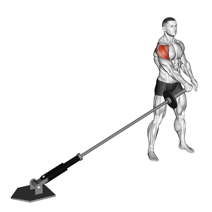 Landmine Lateral Raise exercise animation