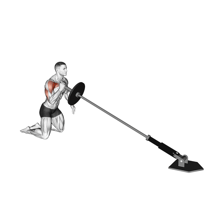 Landmine Press exercise animation