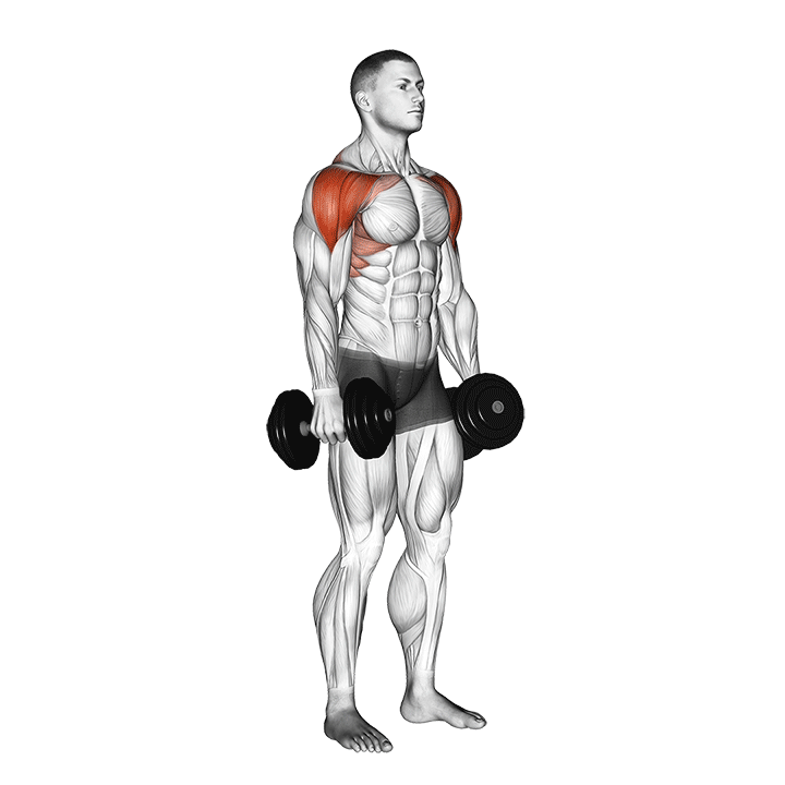 Lateral to Front Raise exercise animation
