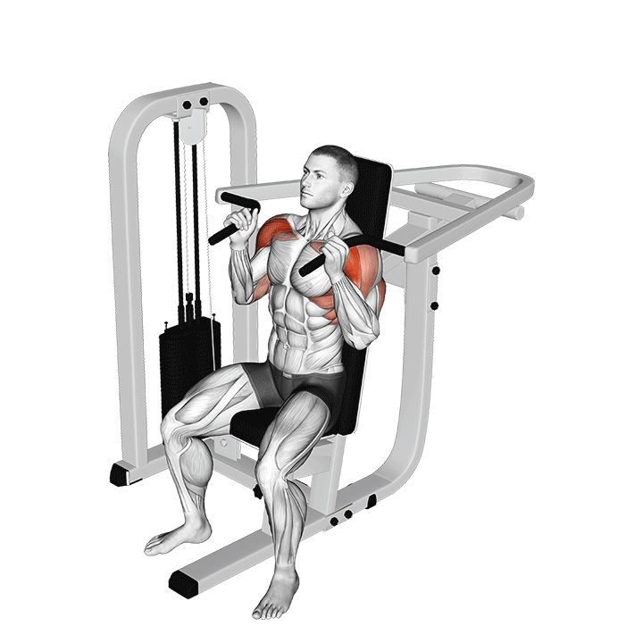 Lever Seated Hammer Grip Shoulder Press exercise animation