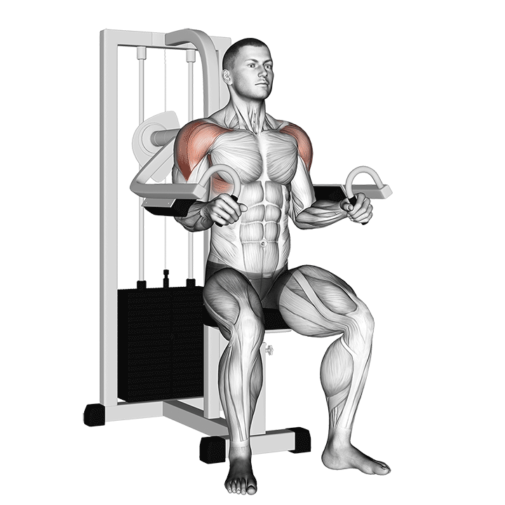 Machine Lateral Raise exercise animation