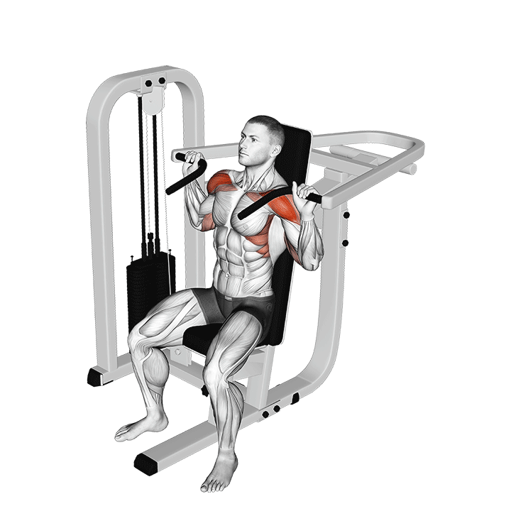 Machine Shoulder Press exercise animation