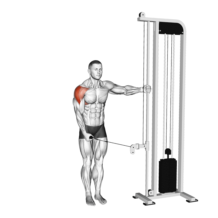 One-Arm Cable Lateral Raise exercise animation