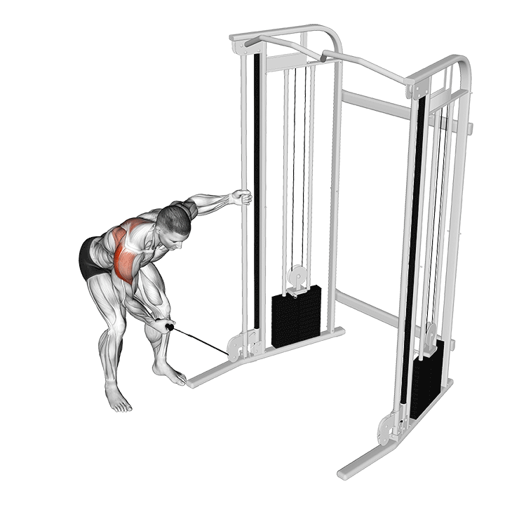 One-Arm Cable Rear Delt Fly exercise animation