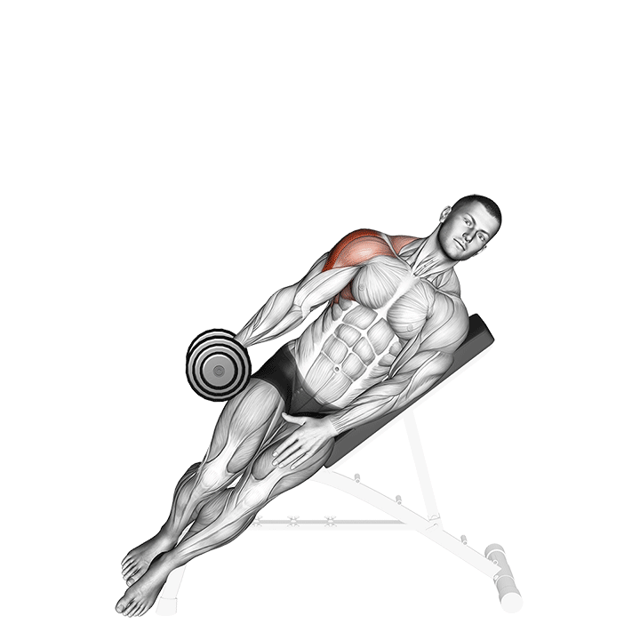 One-Arm Dumbbell Incline Lateral Raise exercise animation