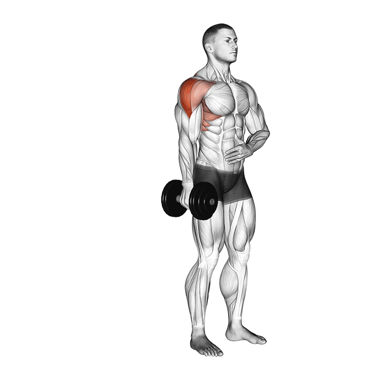 One-Arm Dumbbell Lateral Raise exercise animation
