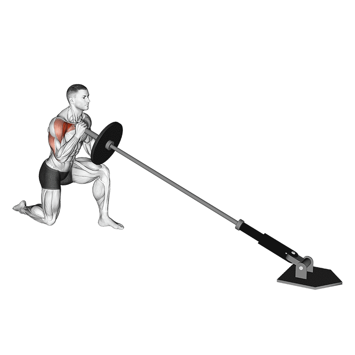 One-Arm Landmine Half Kneeling Shoulder Press exercise animation