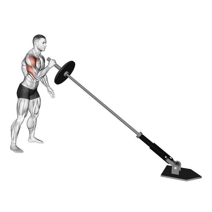 One-Arm Landmine Standing Shoulder Press exercise animation