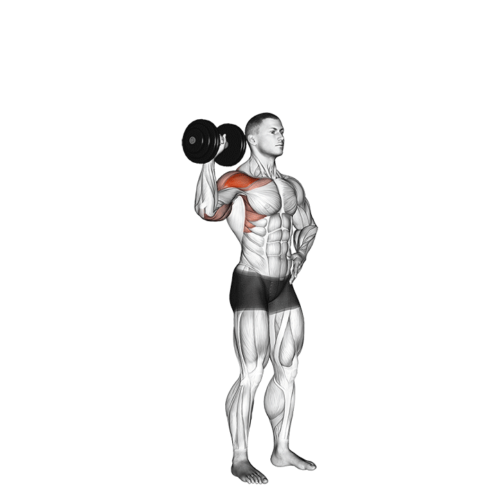 One-Arm Shoulder Press Dumbbell exercise animation
