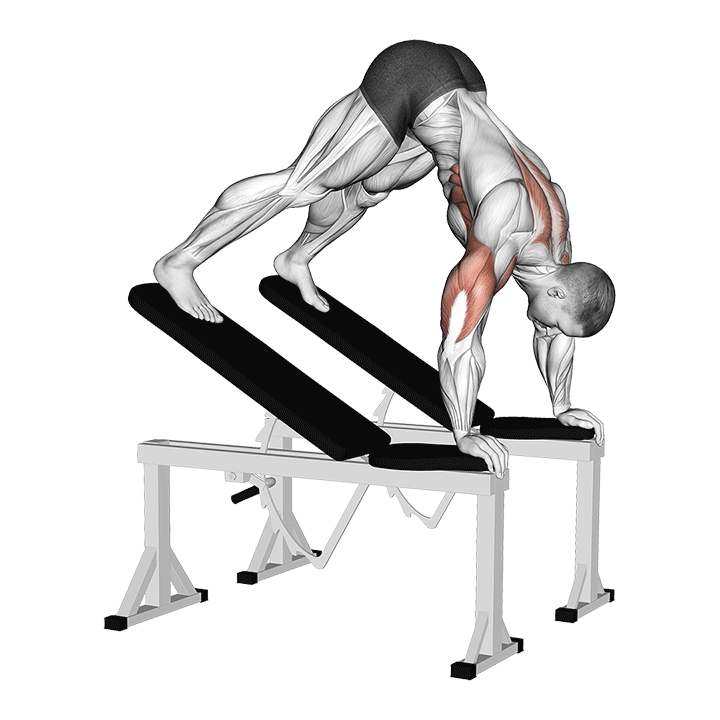 Pike Push-Up Between Benches exercise animation