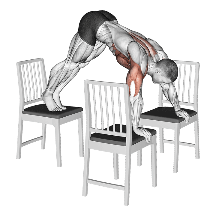 Pike Push-Up Between Chairs exercise animation