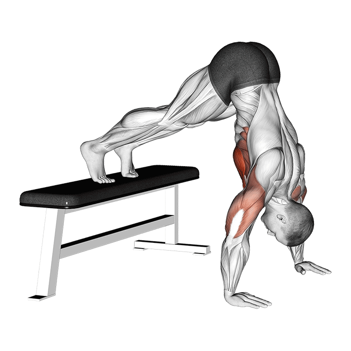 Pike Push-Up On Bench exercise animation