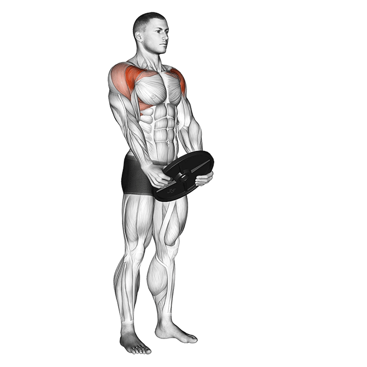 Plate Front Raise exercise animation