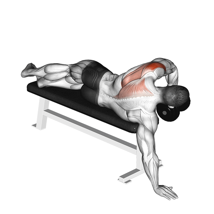 Powell Raise exercise animation
