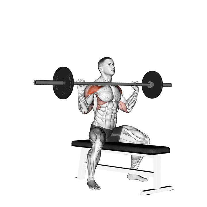 Seated Barbell Shoulder Press exercise animation