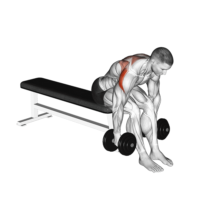 Seated Bent Over Dumbbell Lateral Raise exercise animation