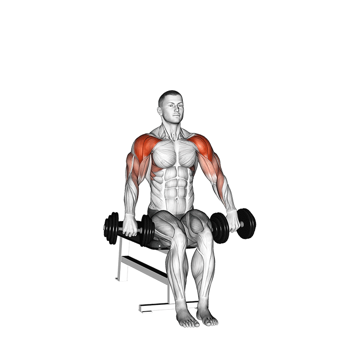 Seated Cuban Press exercise animation