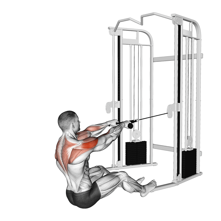 Seated Face Pull exercise animation