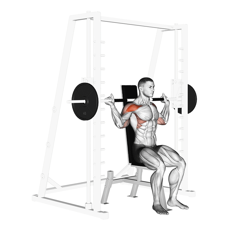 Smith Seated Behind Neck Press exercise animation