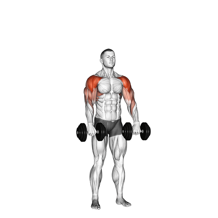 Standing Cuban Press exercise animation