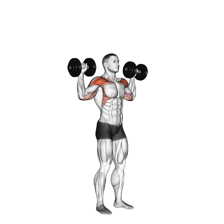 Standing Dumbbell Shoulder Press exercise animation