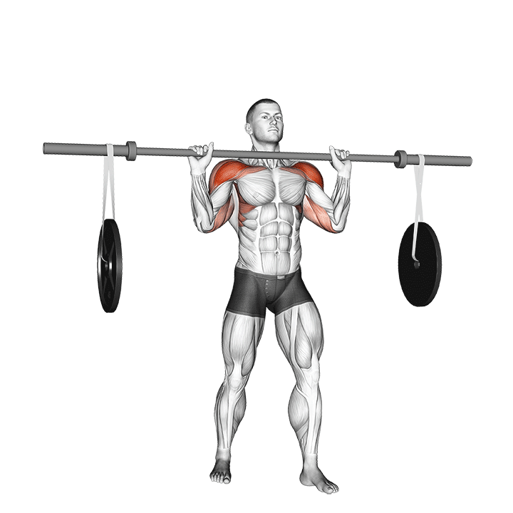 Tsunami Overhead Press exercise animation