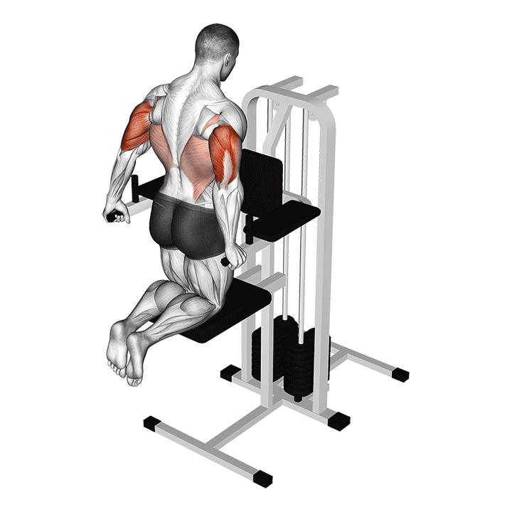Assisted Machine Dips exercise animation
