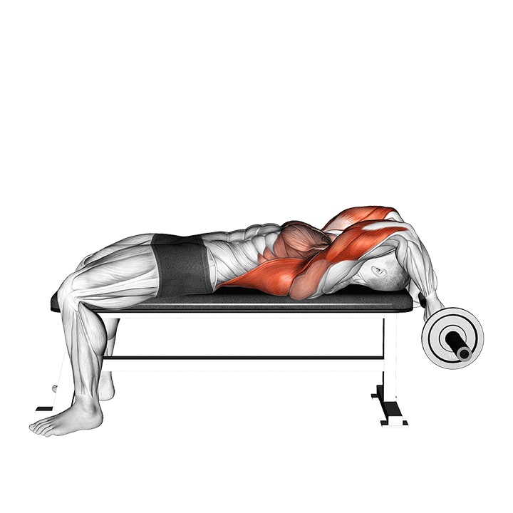California Press exercise animation